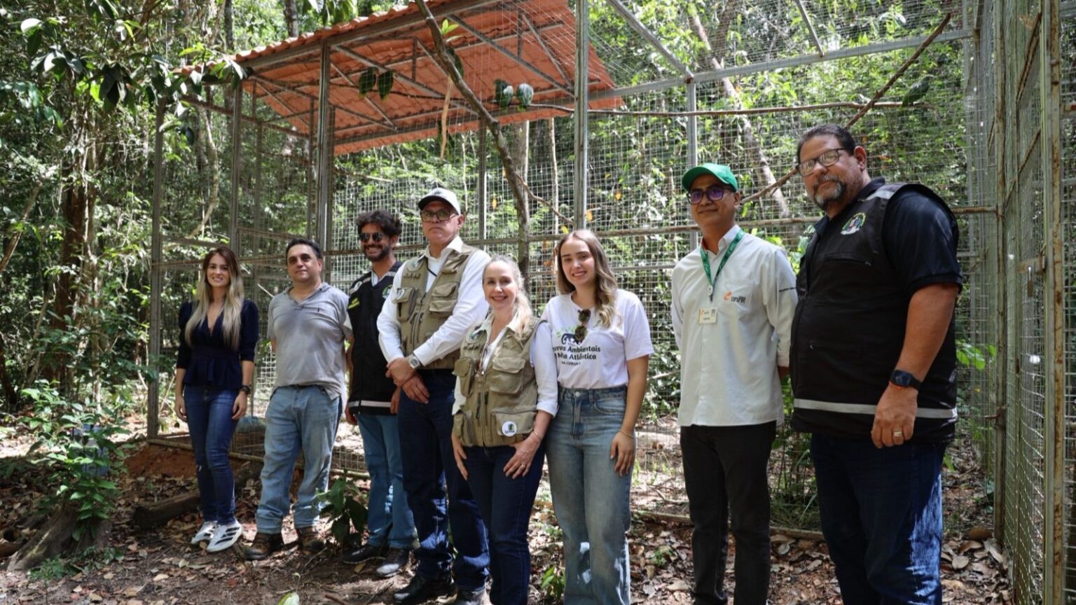 Papagaios-do-mangue e jabutis chegam a Alagoas com missão de contribuir para refaunação e replantio de florestas em área de Mata Atlântica