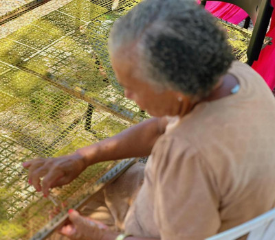 Dia Nacional do Artesão: Alagoas celebra protagonismo feminino, visibilidade internacional e novos avanços