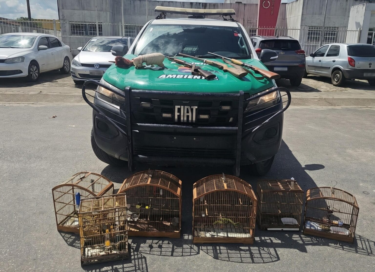PM-AL apreende animais silvestres e três armas em operação ambiental no Litoral Norte