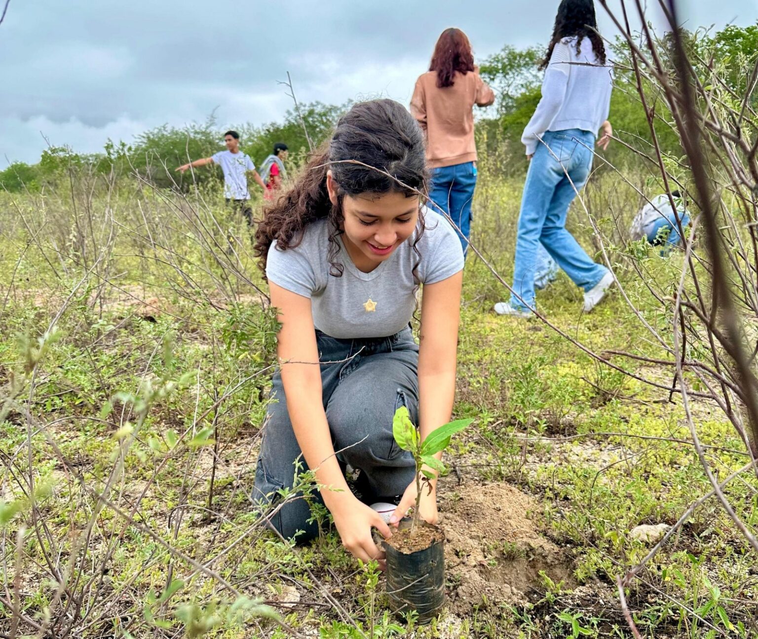 IMA/AL celebra Dia da Caatinga com plantio de mudas nativas em Ouro Branco