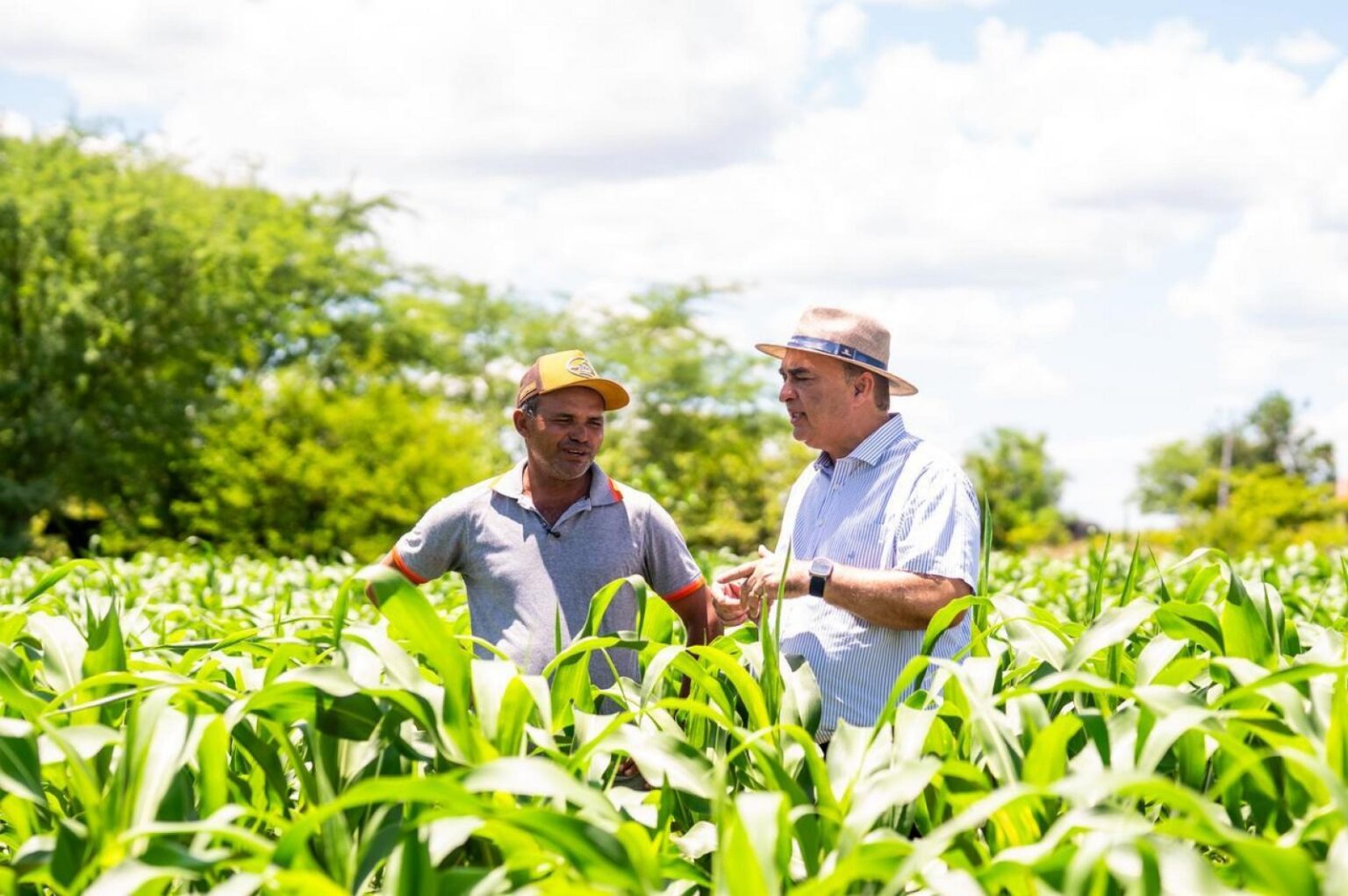 Secretaria de Agricultura anuncia novo prazo do Garantia-Safra para agricultores de Alagoas