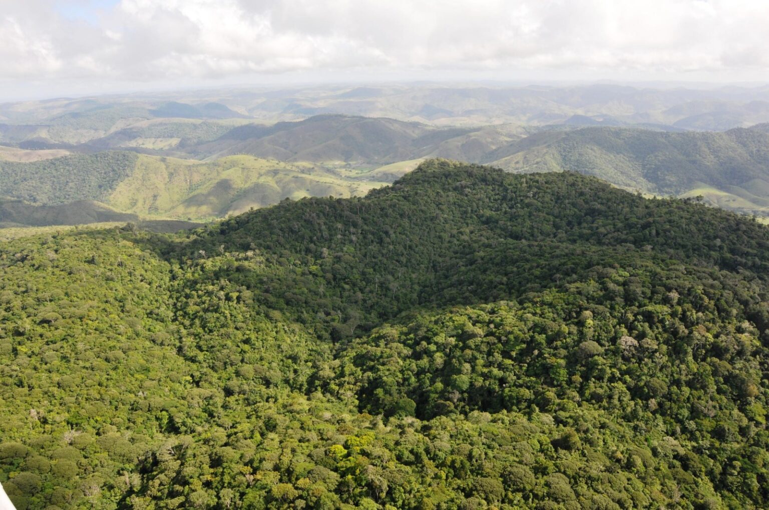 Alagoas registra queda de 68,4% no desmatamento em 2025, segundo MapBioma