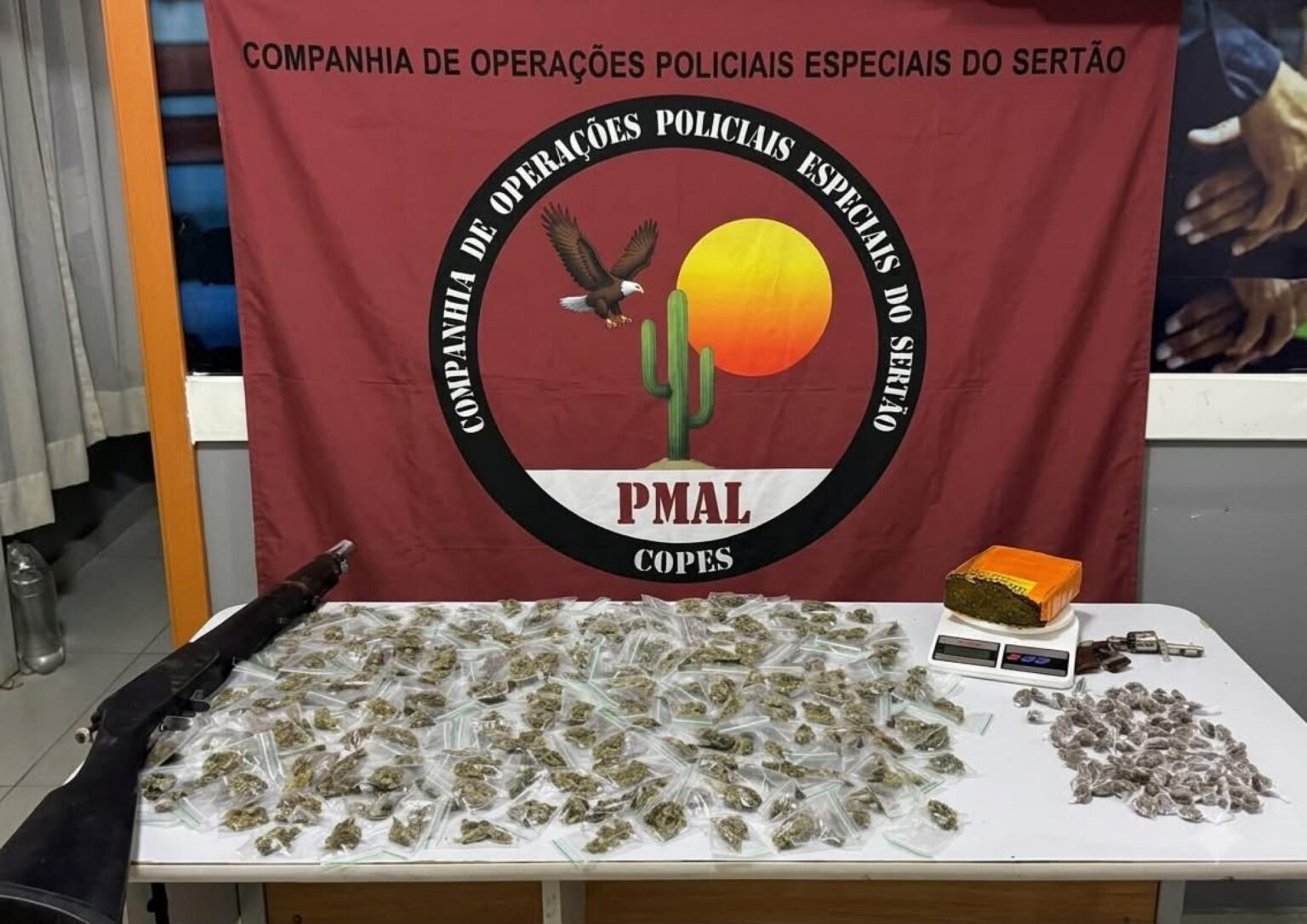 Polícia Militar apreende duas armas de fogo e 370 papelotes de maconha em Água Branca